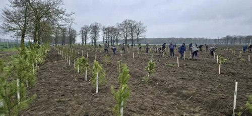 485755878 1060512349453222 8481905637565467094 n.jpg?stp=cp6 dst jpg s600x600 tt6& nc cat=102&ccb=1 .jpg