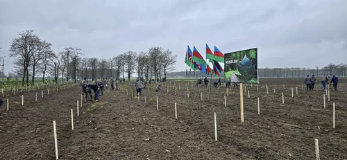 485299263 1060512406119883 4992651646893976677 n.jpg?stp=cp6 dst jpg s600x600 tt6& nc cat=107&ccb=1 .jpg