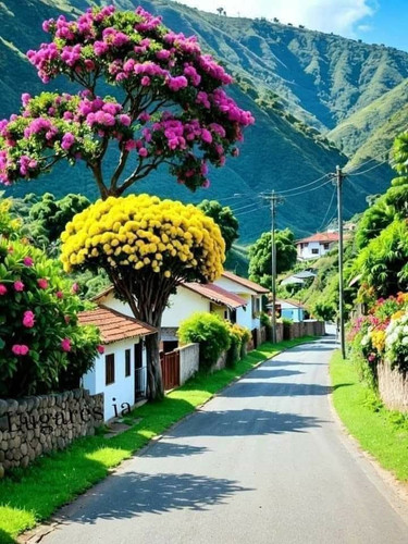 FB IMG 1742514284858.jpg