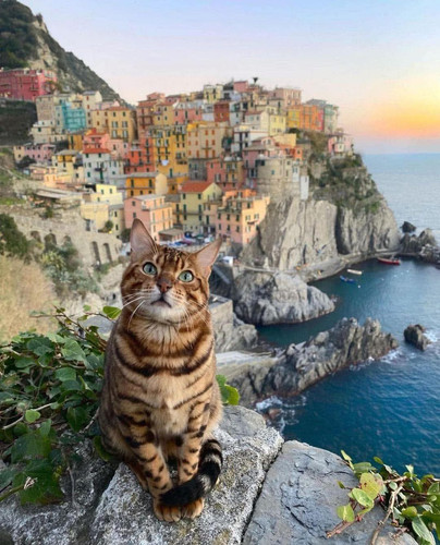 FB IMG 1742526480986.jpg