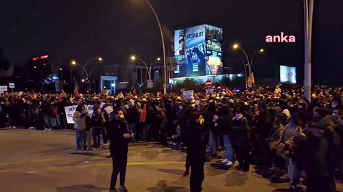 eNUSM7tMvpXoi xo.jpg