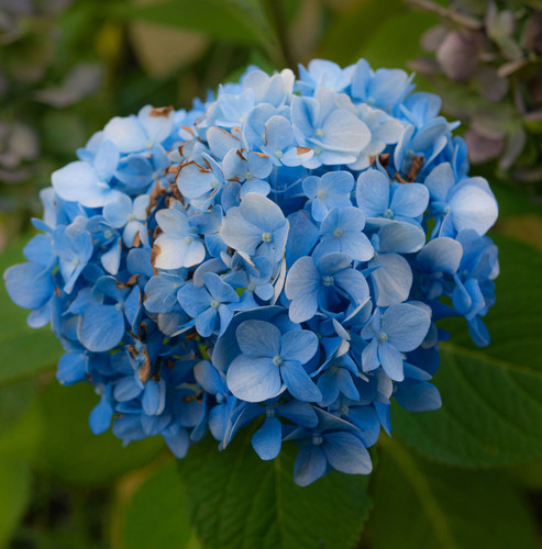 moasis productions avXgd0G8jgY unsplash.jpg