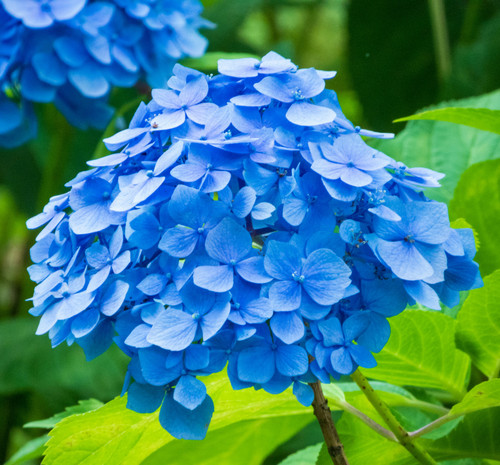 yamasa n 9qZWUwb4XSI unsplash.jpg