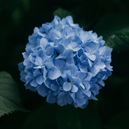 joey huang VzIKITZA N0 unsplash.jpg