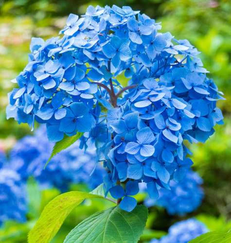 yamasa n a7OqXi94tIY unsplash.jpg