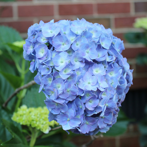 chelsea eubank W2DD1wS14B4 unsplash.jpg