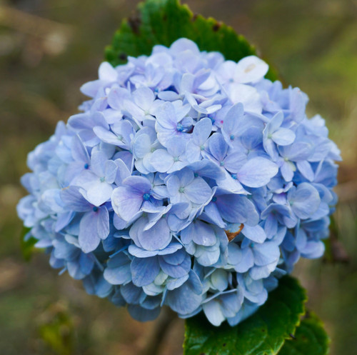 hatmi pratiwi 9gOF6qDsyys unsplash.jpg