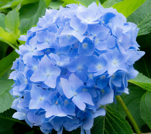 yamasa n VeZj alAyYA unsplash.jpg