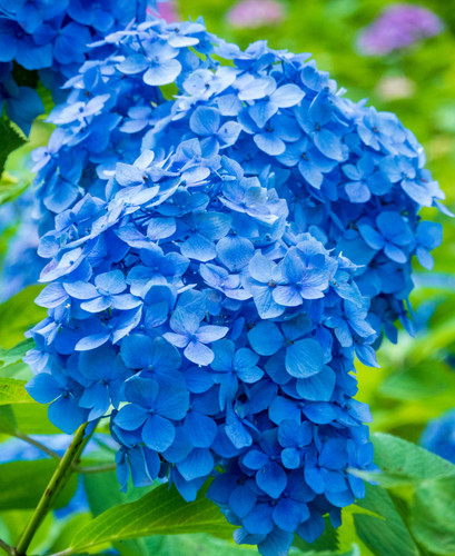 yamasa n eMranmve1cU unsplash.jpg