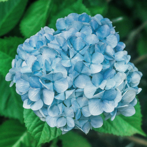 slnc 8OfBD5eYAAA unsplash.jpg