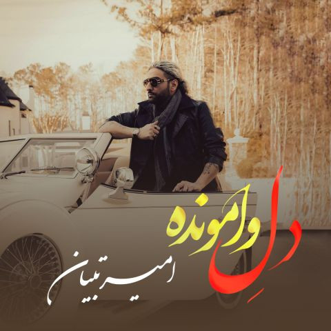 دانلود آهنگ امیر تبیان به نام دل وامونده