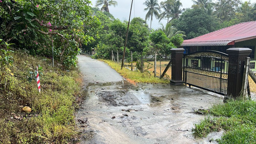 WhatsApp Image 2025 03 22 at 10.08.44 AM.jpg