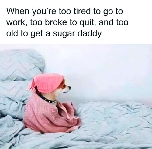 hilarious work memes pics 51 65e5e16454ceb 700.jpg