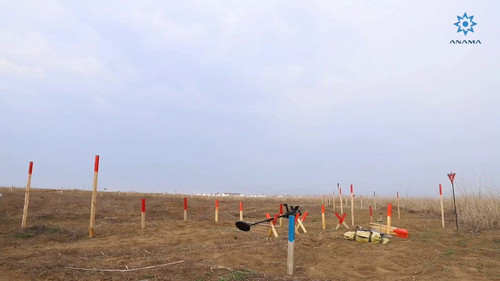 HQw1BN kwDvMuqM .jpg