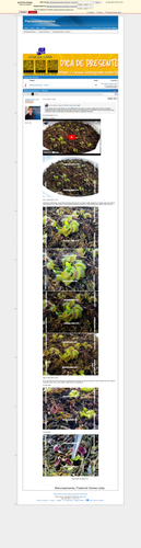 07f7b13f499b62ebdc0150d34bc5ea6d713a0e4f.png