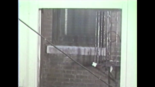 vlcsnap 2025 03 22 13h10m10s470.png