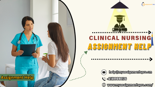 clinical nursing assignment help.png