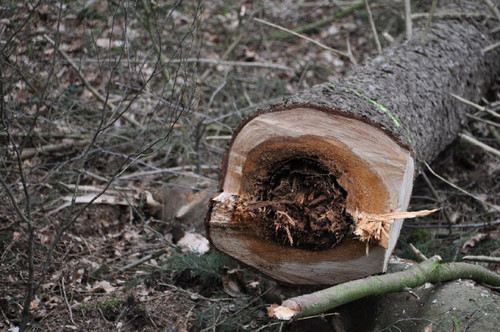 msGqWbRkkm6egdxZt0H9i3IXWjOKvecGgfhpSmyvQAIQQTF hOGuXNTYU3Aai2eHWEapzouKaSSQnAPSlFlpaIukUOgQ VF5y ey.jpg