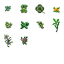 草药们.png