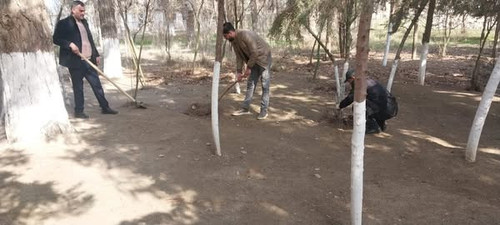 485720059 1061205626036810 7784426834820602419 n.jpg?stp=dst jpg s600x600 tt6& nc cat=109&ccb=1 7& n.jpg