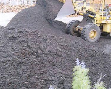 Cheap Mulch Perth.jpg