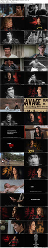 I.Am.Bruce.Lee.2012.BluRay.1080p.DTS HD.MA5.1.x265.10bit BeiTai preview.jpg