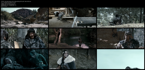 Little.Big.Soldier.2010.1080p.BluRay.DTS.x265 10bit HDS.mkv.png