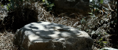 Little.Big.Soldier.2010.BluRay.Pad.1080p.AAC.x265 10bit HDSPad.mp4 20220830 223107.706.png