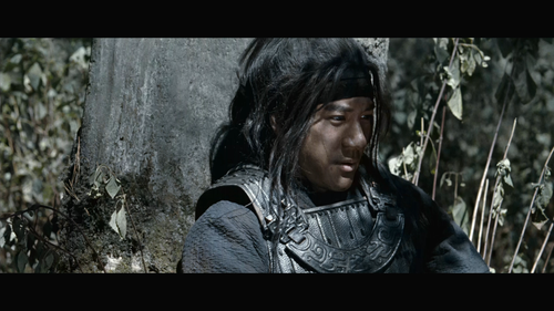 Little.Big.Soldier.2010.BluRay.REMUX.1080p.AVC.DTS HD.MA5.1 HDS.mkv 20220830 223044.386.png