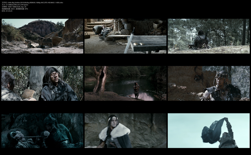 Little.Big.Soldier.2010.BluRay.REMUX.1080p.AVC.DTS HD.MA5.1 HDS.mkv.png