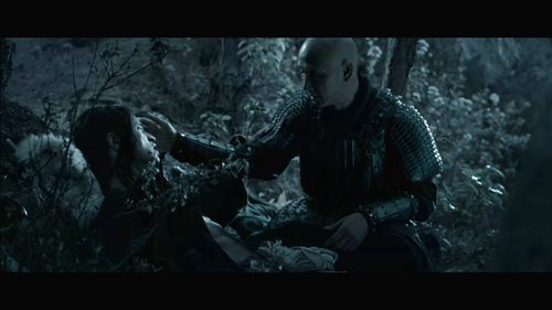 Little.Big.Soldier.2010.BluRay.REMUX.1080p.AVC.DTS HD.MA5.1 HDS.mkv 20220830 223038.842.png