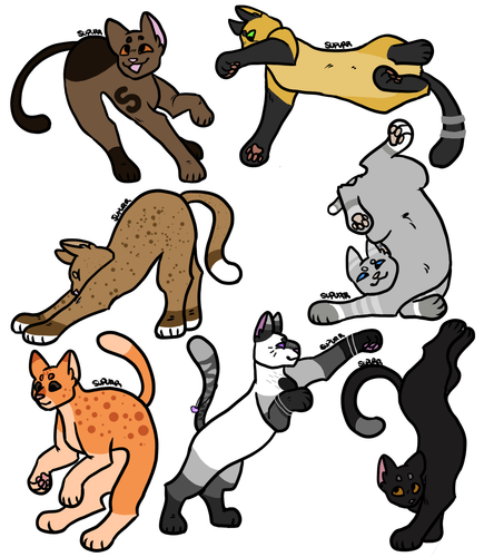 Untitled71 20220826090251