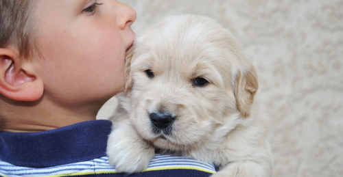 gibson2 Email Sig.jpg