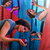 Icons by Nightbulbs (115)