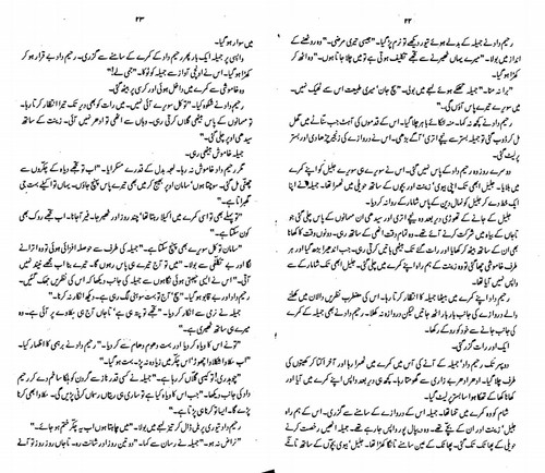 Jangloos Part 3 By S S.pdf page 010.jpg