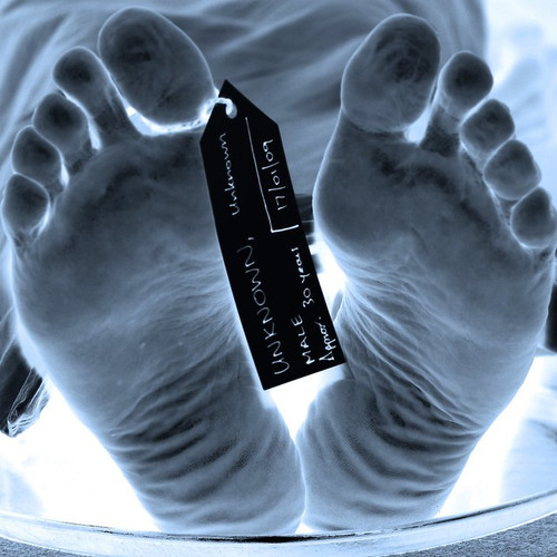 3205243882 c137524311 z.jpg