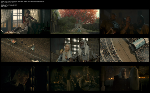 House.of.the.Dragon.S01E01.1080p.HMAX.WEB DL.DDP5.1.Atmos.H.264 SakuraSUB.mkv.png