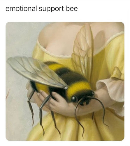 3F64FAEE 3682 4625 8023 74F8F0C859E5