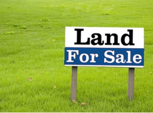 Land for sale.jpg