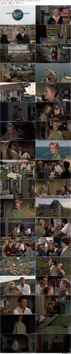 The.Birds.1963.BluRay.1080p.DTS HD.MA.2.0.x265.10bit BeiTai preview.jpg