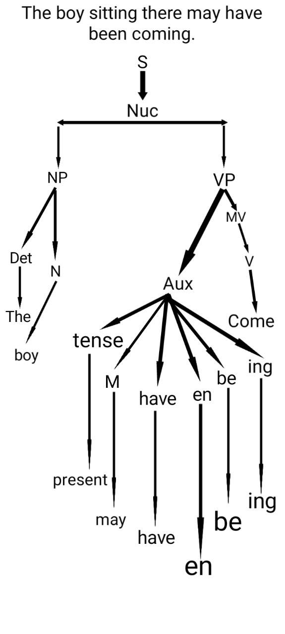 How do you complete this tree diagram? : r/asklinguistics