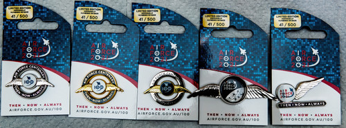 AIR FORCE 100 LIMITED EDITION LAPEL PINS.jpg
