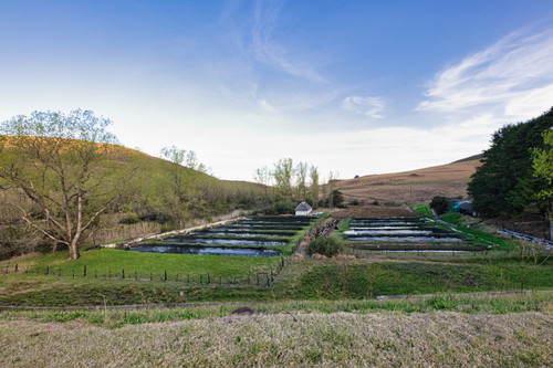 Giant's Cup Wilderness Reserve Trout Hatchery From the Dam Wall.jpg