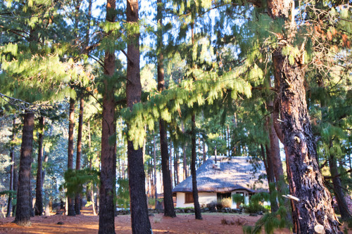 Giant's Cup Wilderness Reserve The House We Stayed in.jpg