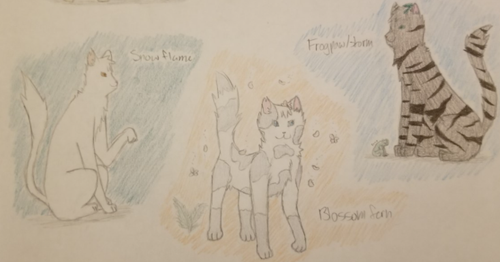 Snowflame, Blossomfern, and Frogpaw storm.png