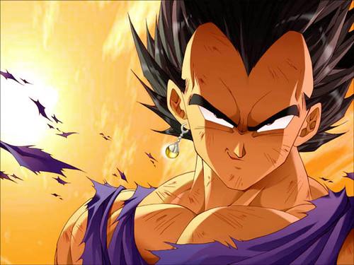 Vegeta dragon ball z 25544772 1024 768.jpg