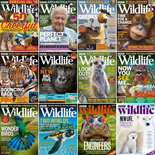 BBC Wildlife Magazine - 2021 Full Year Issues Collection