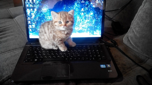 45089520724 6fc9fb8930 o.jpg