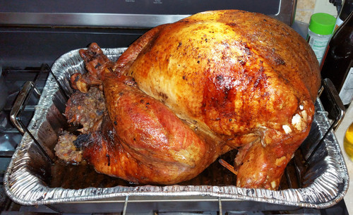 Thanksgiving Turkey.jpg