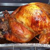 Thanksgiving Turkey